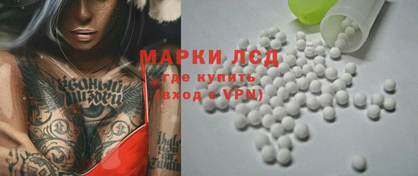 прущие грибы Зерноград