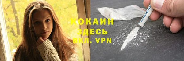 прущие грибы Зерноград