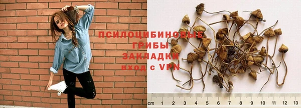 кокаин премиум Зеленокумск