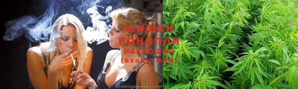 прущие грибы Зерноград