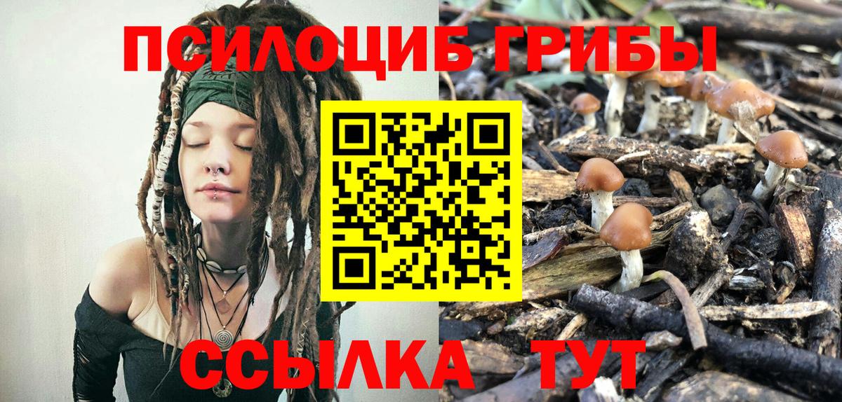 Псилоцибиновые грибы ЛСД  Вход с VPN  Зерноград 