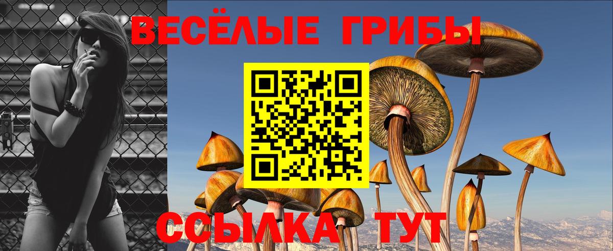 Наркошоп  Экстази  Амфетамин кристаллы  Вход с VPN  ГАШИШ  Мефедрон   Каннабис  Зерноград  COCAIN  NBOMe 