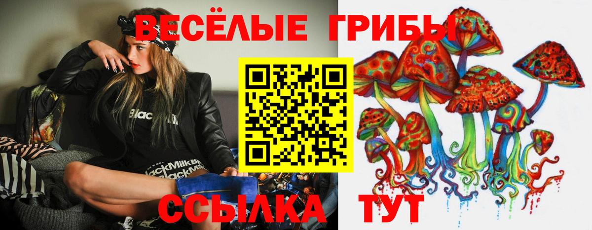 Псилоцибиновые грибы Psilocybe Зерноград